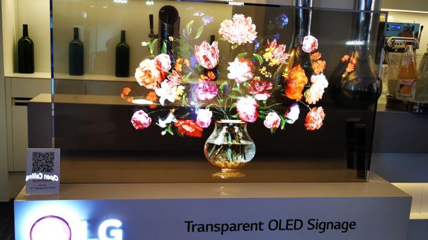 Transparentes OLED-Display