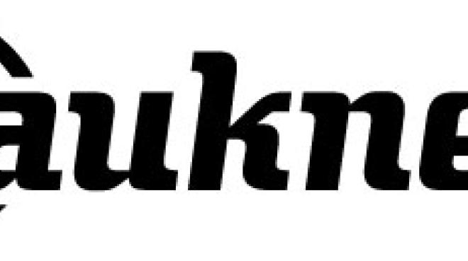 Bauknecht Logo