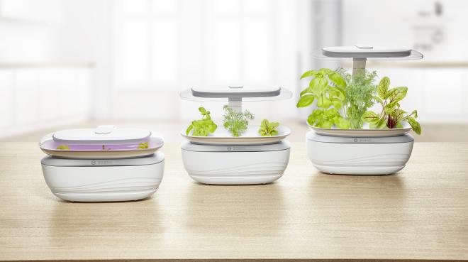 Bosch Smart Grow Wachstumsprozess. Foto: Bosch