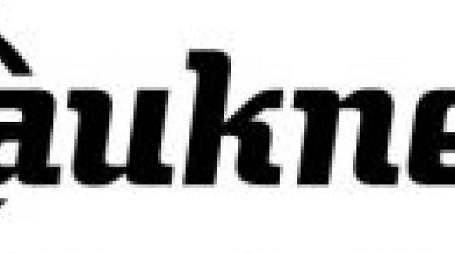 Bauknecht Logo